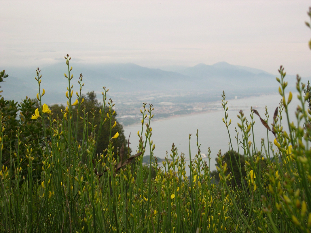 Orto botanico di Montemarcello景点图片