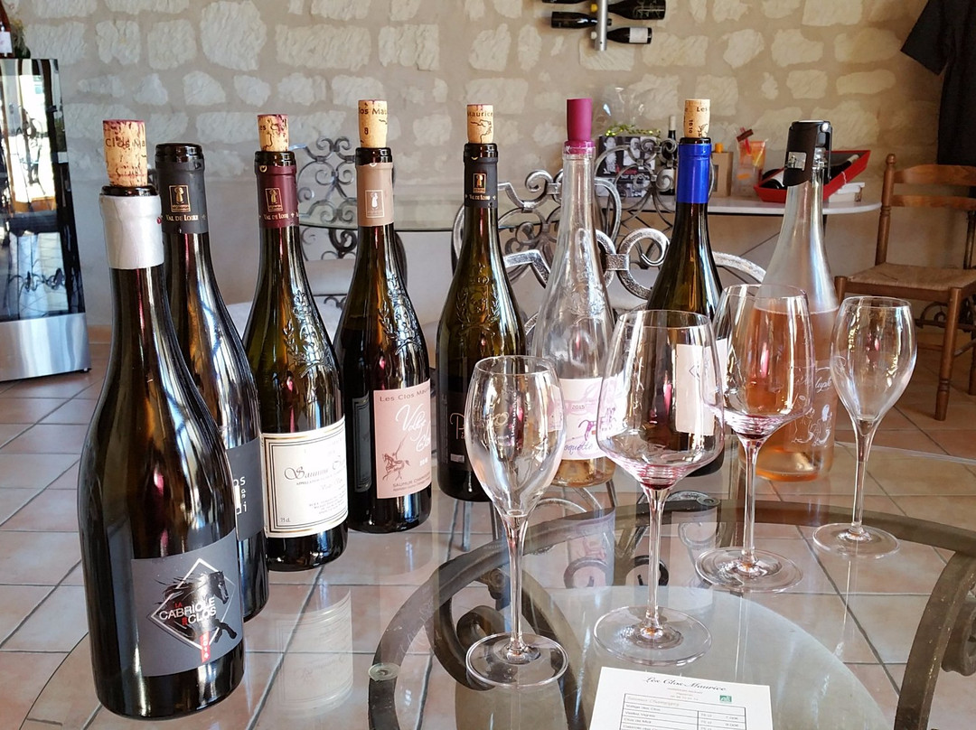 Domaine de Clos Maurice景点图片