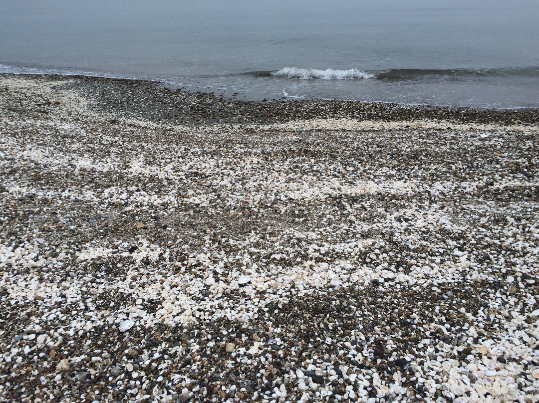 Taya Beach-常滑市必去景点