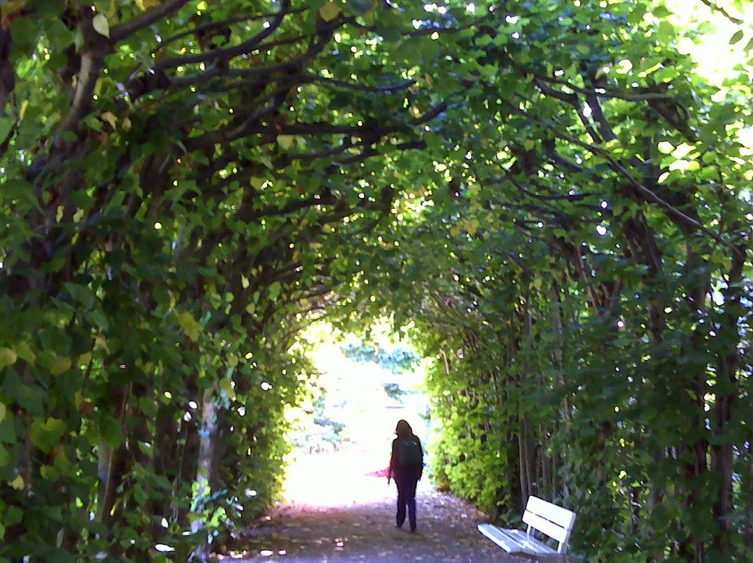 Schulgarten Lübeck-吕贝克必去景点
