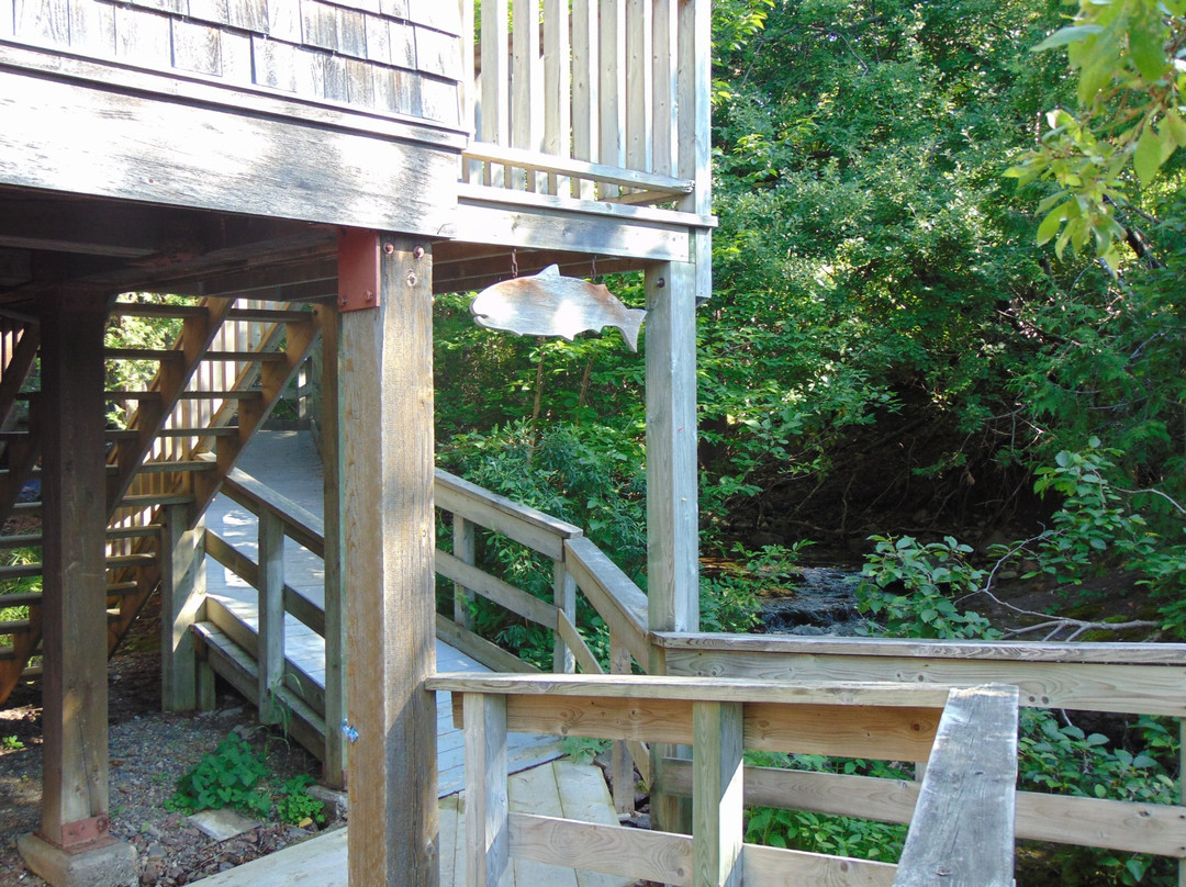 Wild Salmon Nature Centre-Chamcook必去景点