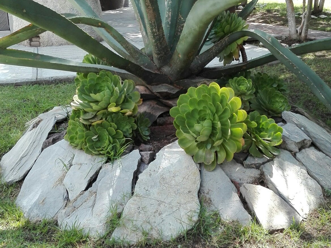 Hotel Casa de la Luna主图