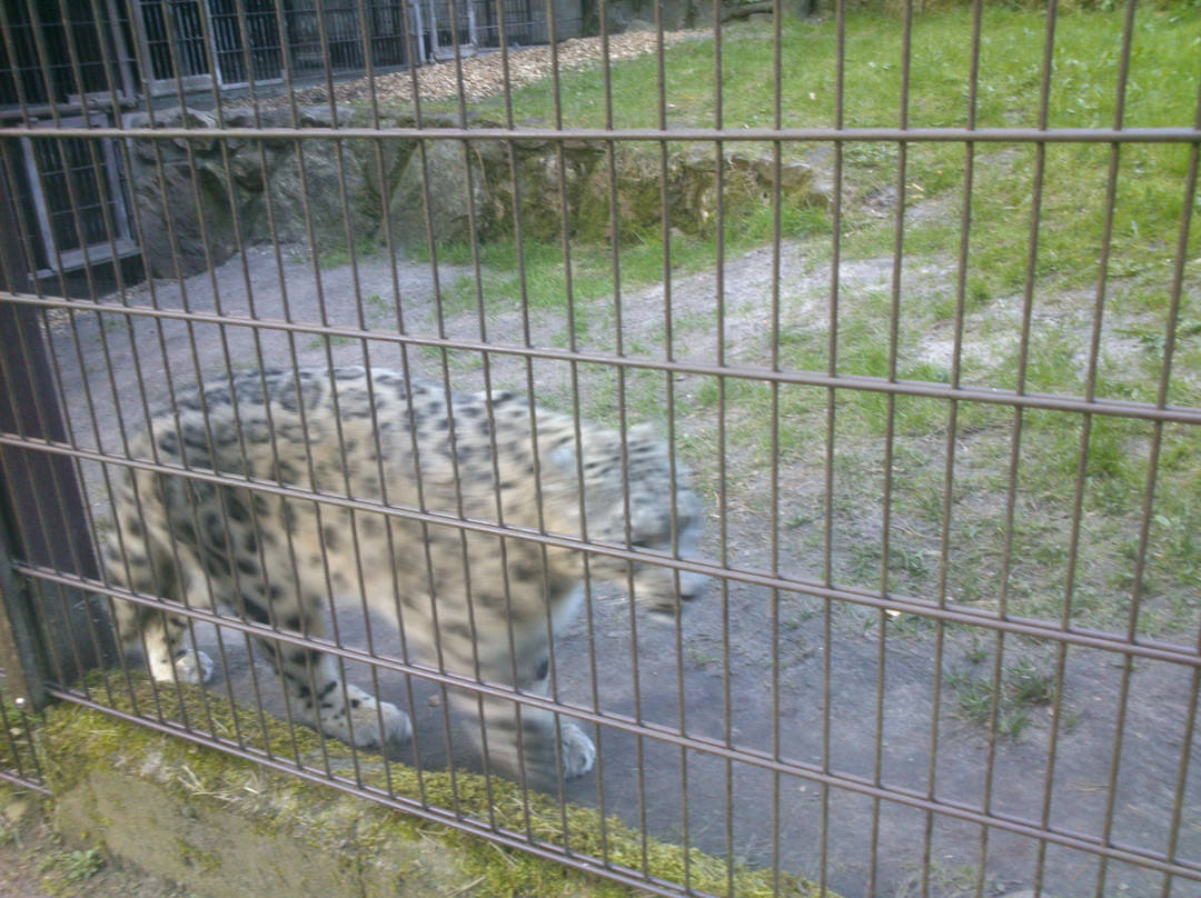 Wildpark Lüneburger Heide景点图片