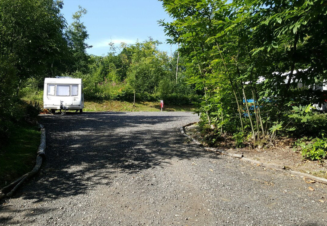 Senlac Wood Camping and Caravan Site