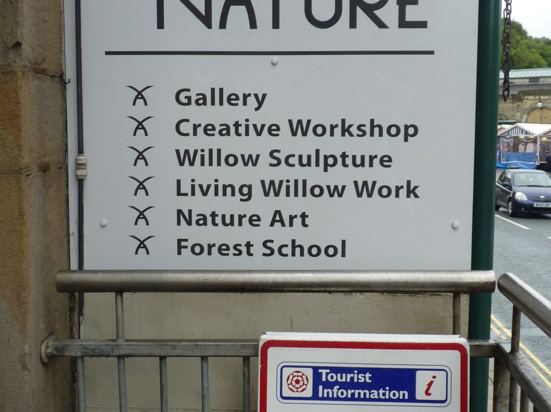 Creative with Nature Gallery景点图片