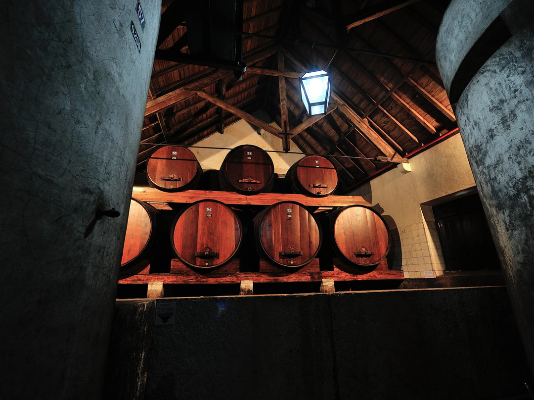 Venancio da Costa Lima-Palmela必去景点