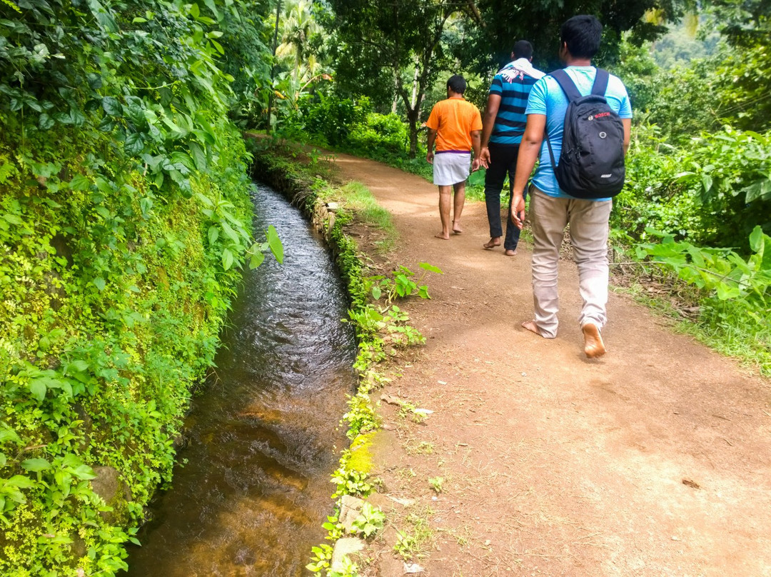 Ilanjippara Waterfall景点图片