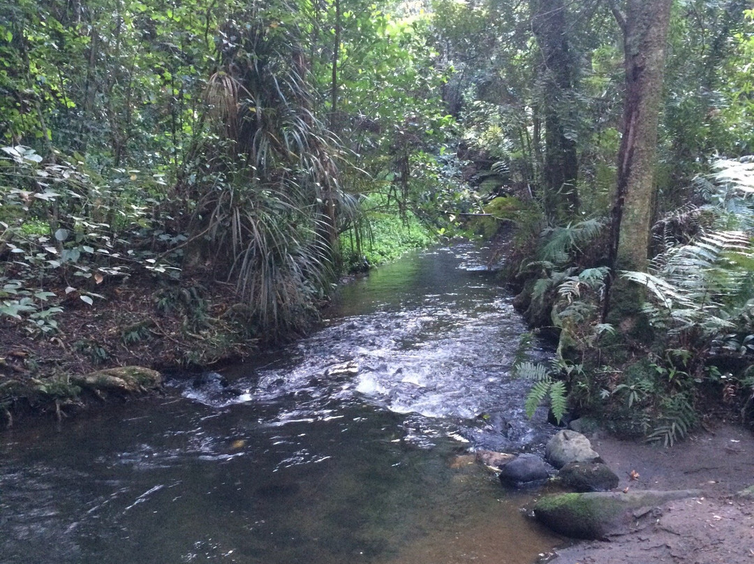 Barrett Domain Walkway-新普利默斯必去景点