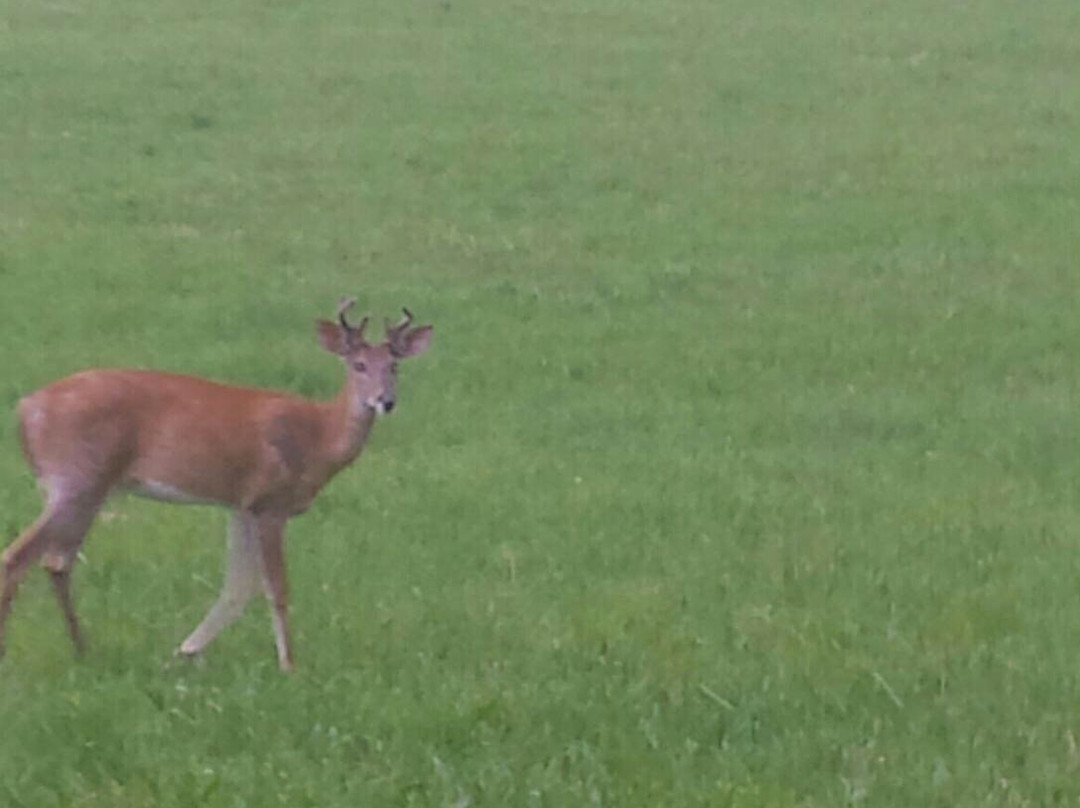 The Discovery Center-Swanton必去景点