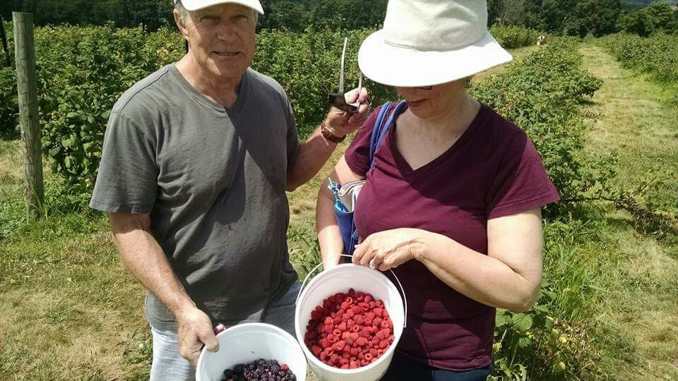 Rittman Orchards景点图片