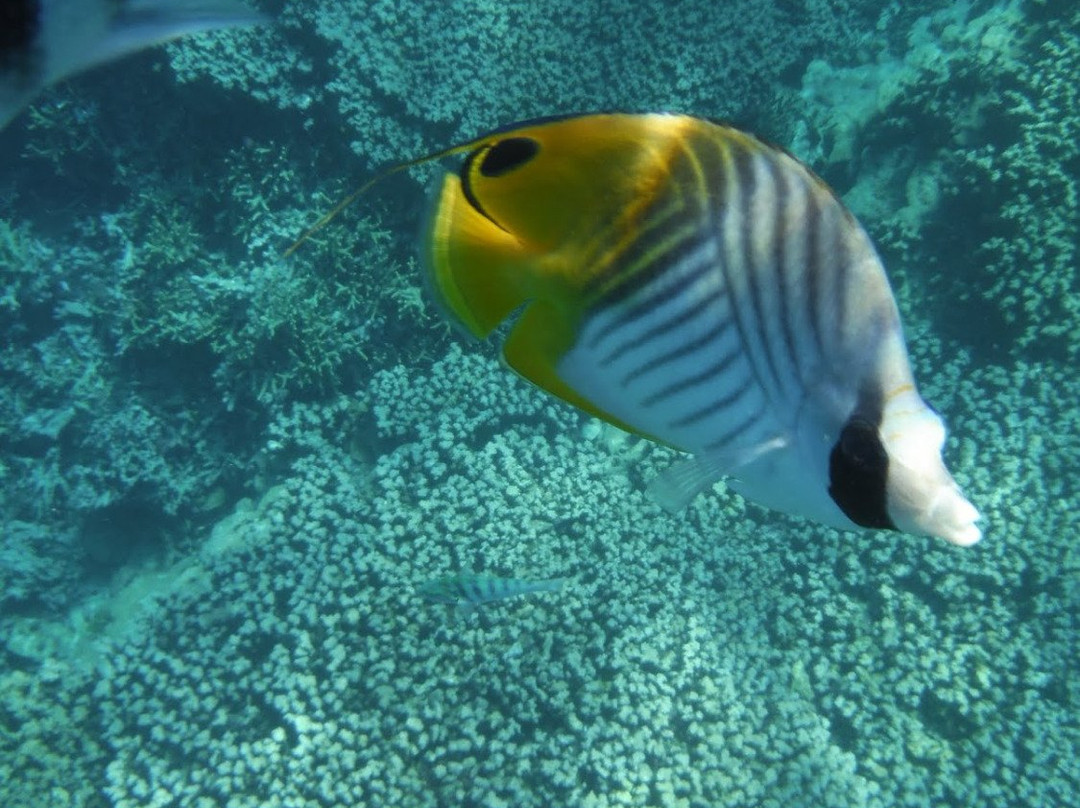 Piti Bomb Holes Preserve-Piti必去景点