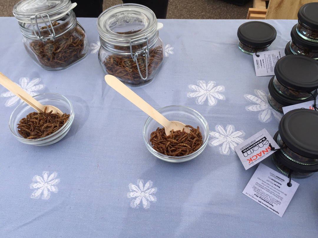 Oeboderne-欧胡斯必去景点