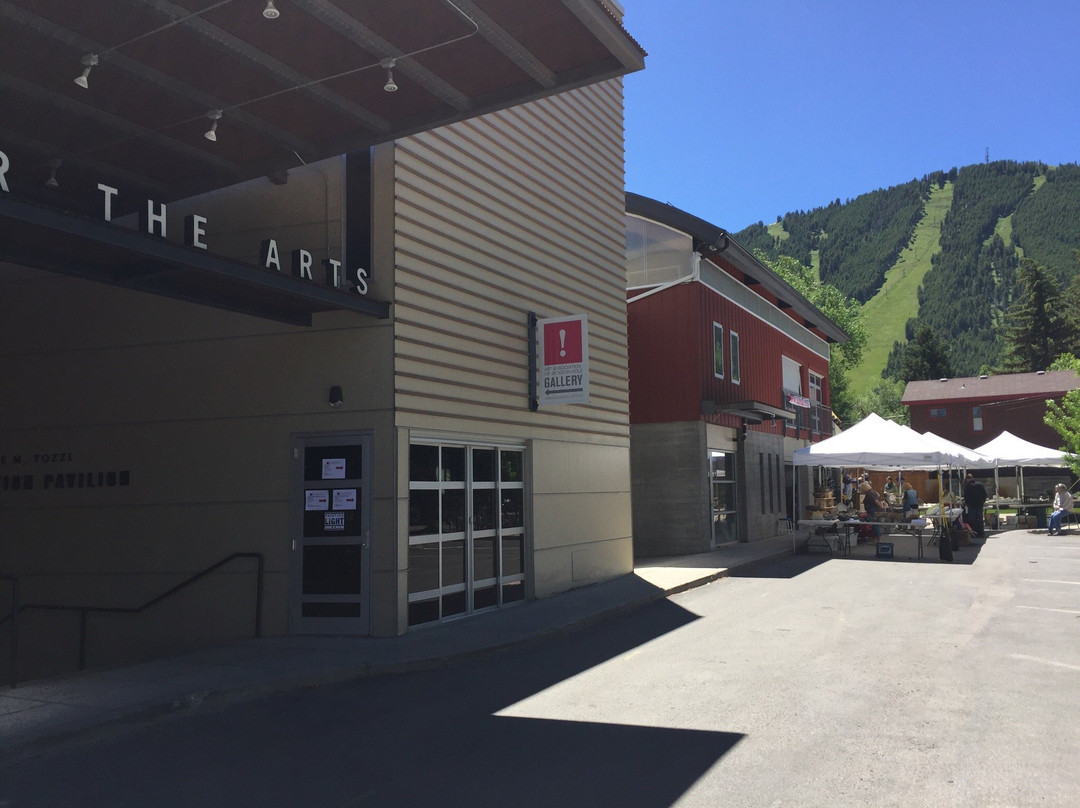 Center for the Arts-杰克逊必去景点