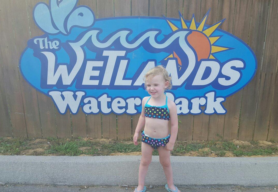 Wetlands Water Park景点图片