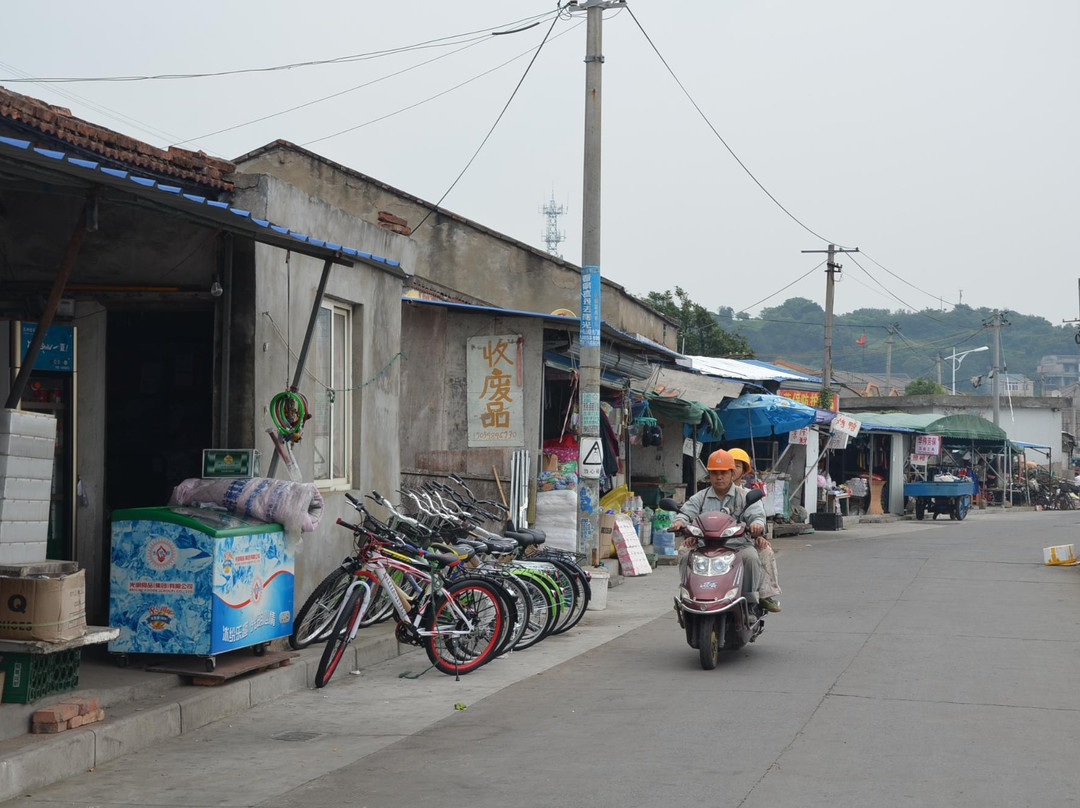 舟山普陀蚂蚁岛-舟山市必去景点