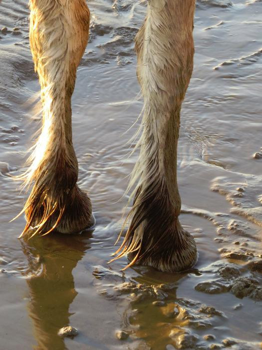 Mandoe Event-Mandoe必去景点