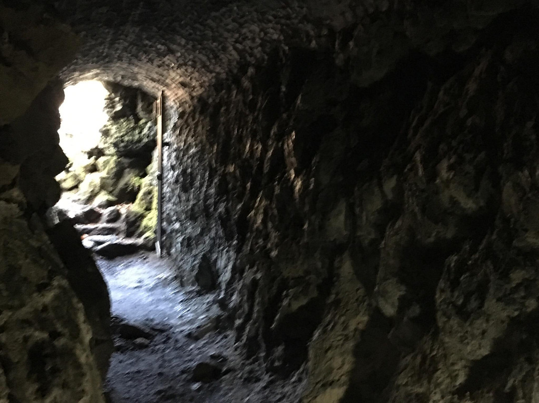 Funatsu Tainai Jugata Lava Tree Mold景点图片