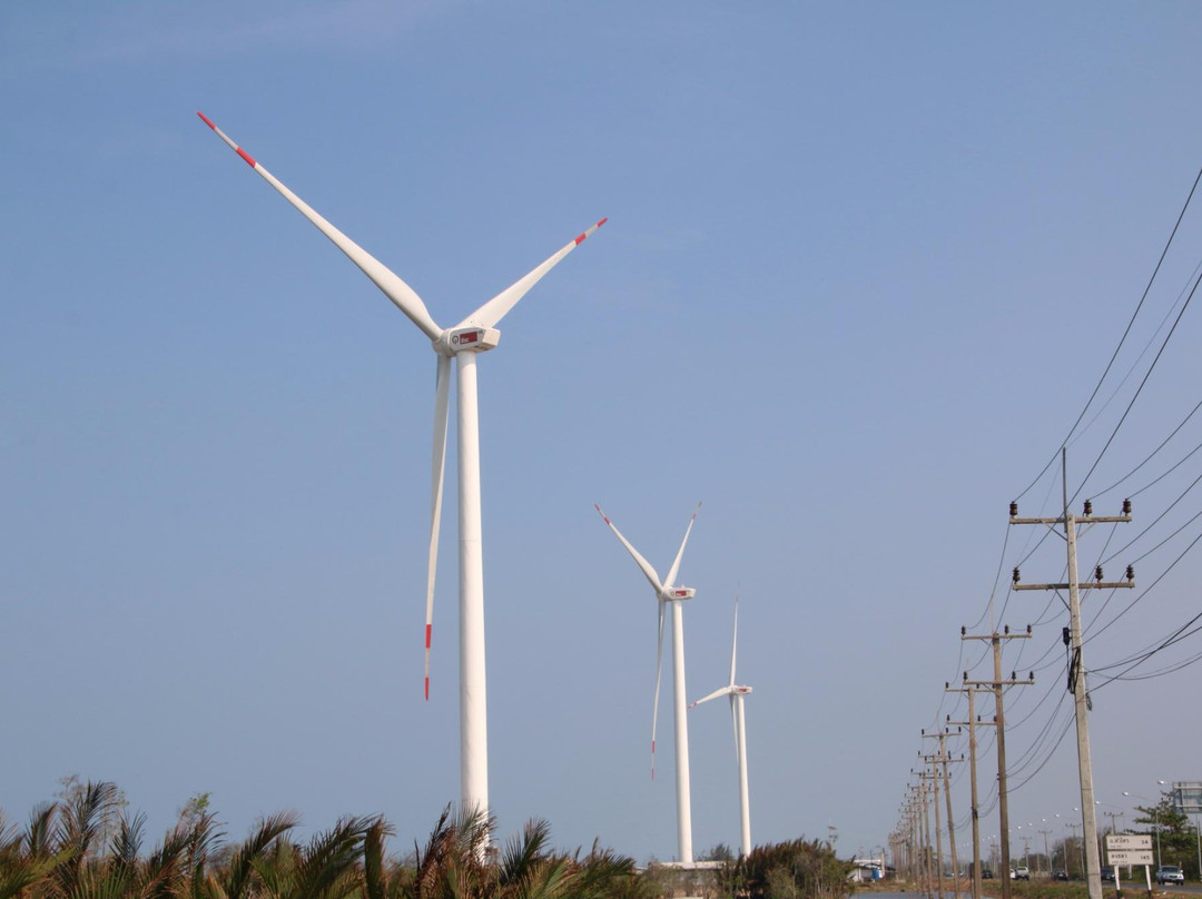 Pak Panang Wind park景点图片