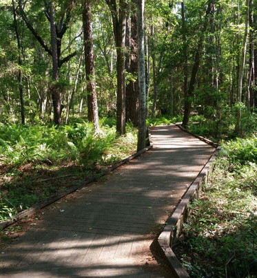 Ringhaver Park/Ortega River Nature Preserve-杰克逊维尔必去景点