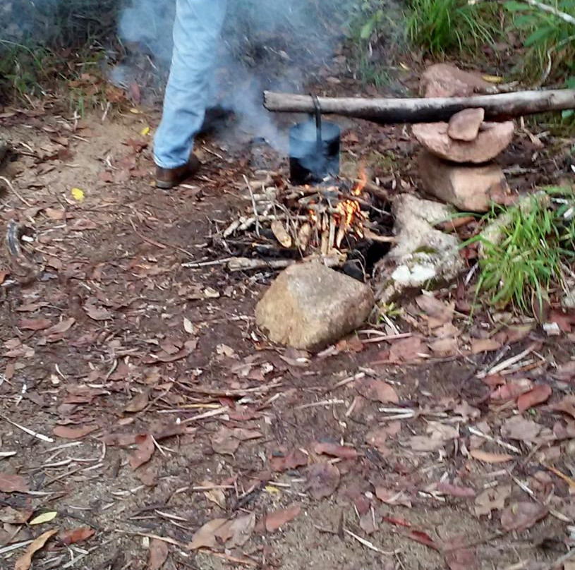 Tait's Wongabel Stables- 阿瑟顿必去景点