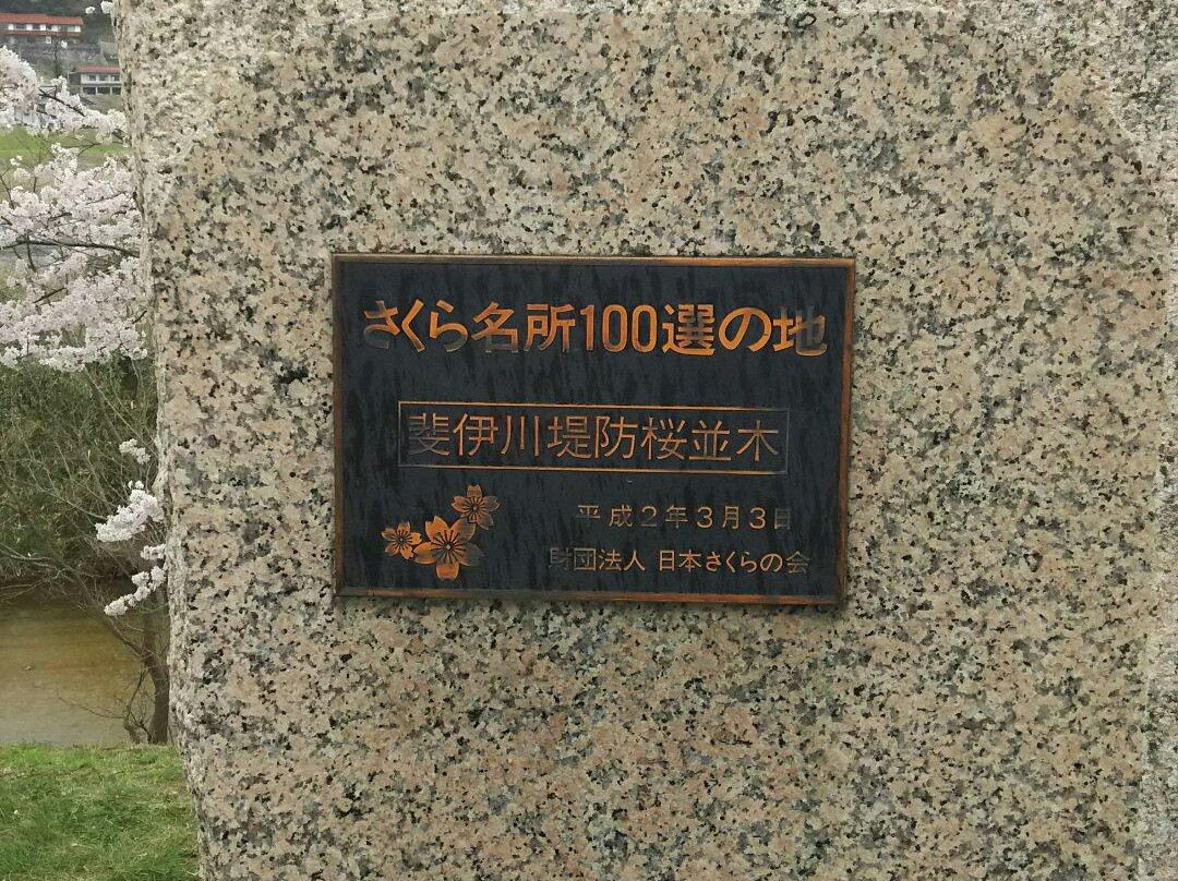Hikawateibou Cherryblossom Street-云南市必去景点