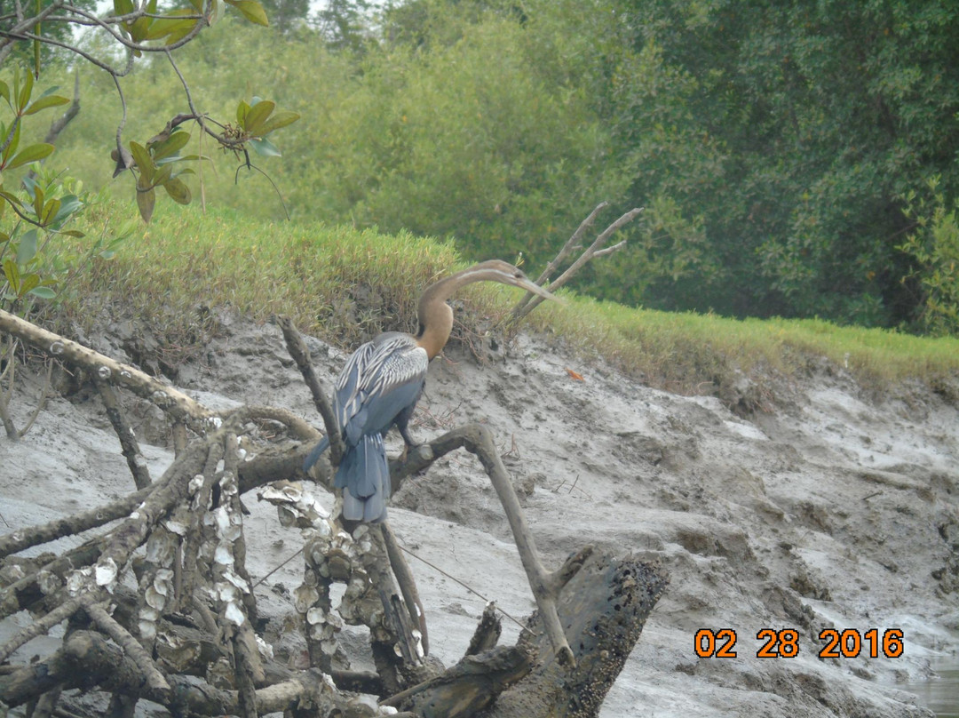 Kiang West National Park景点图片