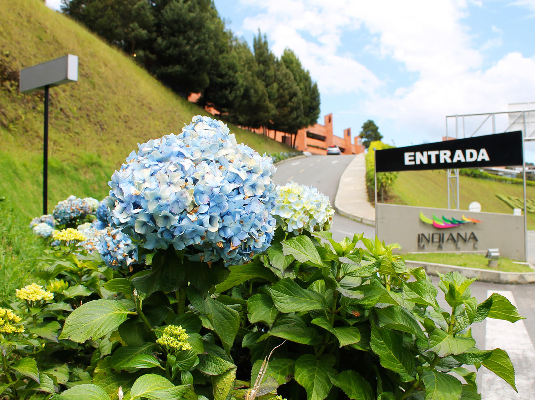 恩维加多旅游景点-Mall Indiana