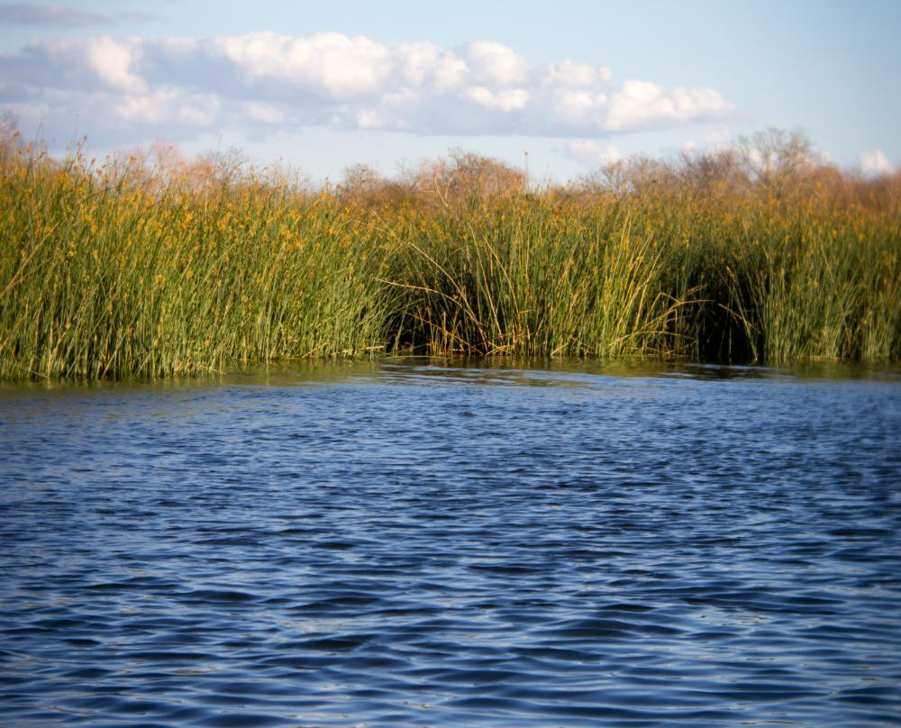 布劳尼格湖-圣安东尼奥市必去景点