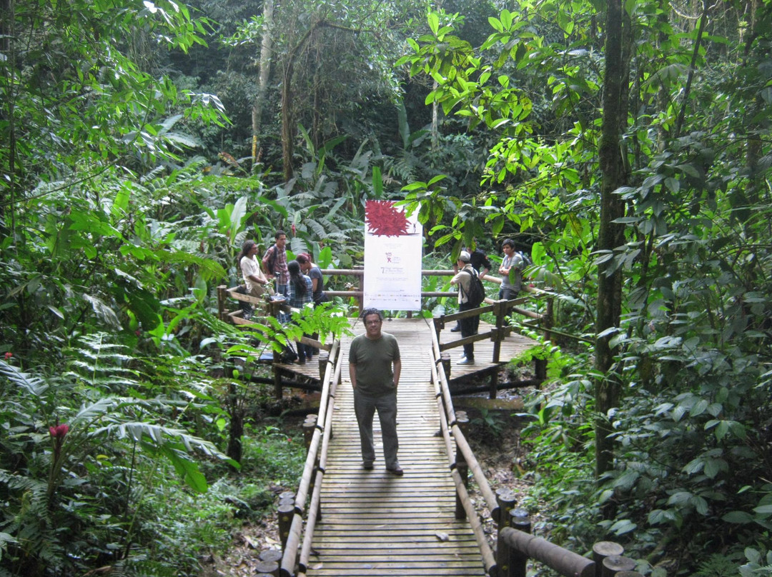 Universidad Tecnologica de Pereira-佩雷拉必去景点