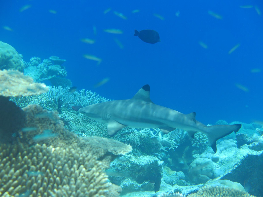 HP暗礁-满月岛必去景点