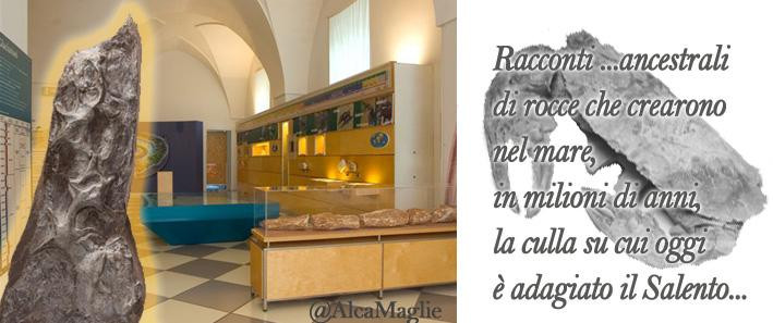 L'Alca - Museo e Biblioteca comunali di Maglie景点图片