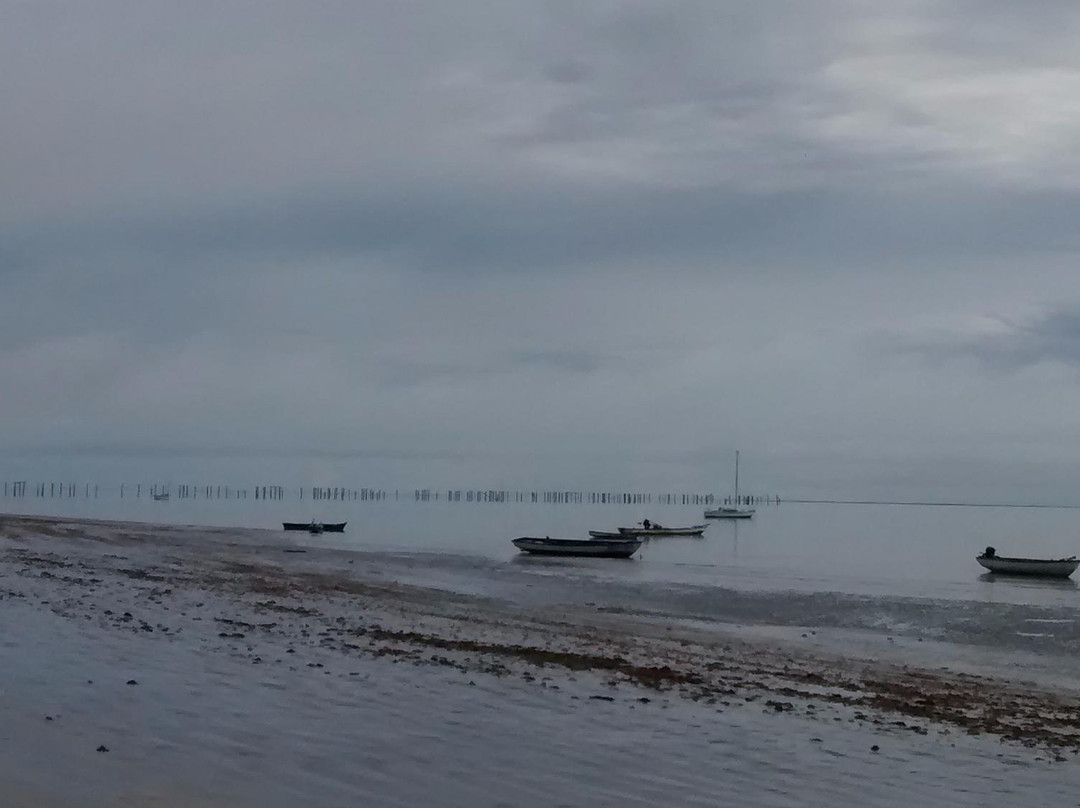 Pier Beach-Cumuruxatiba必去景点