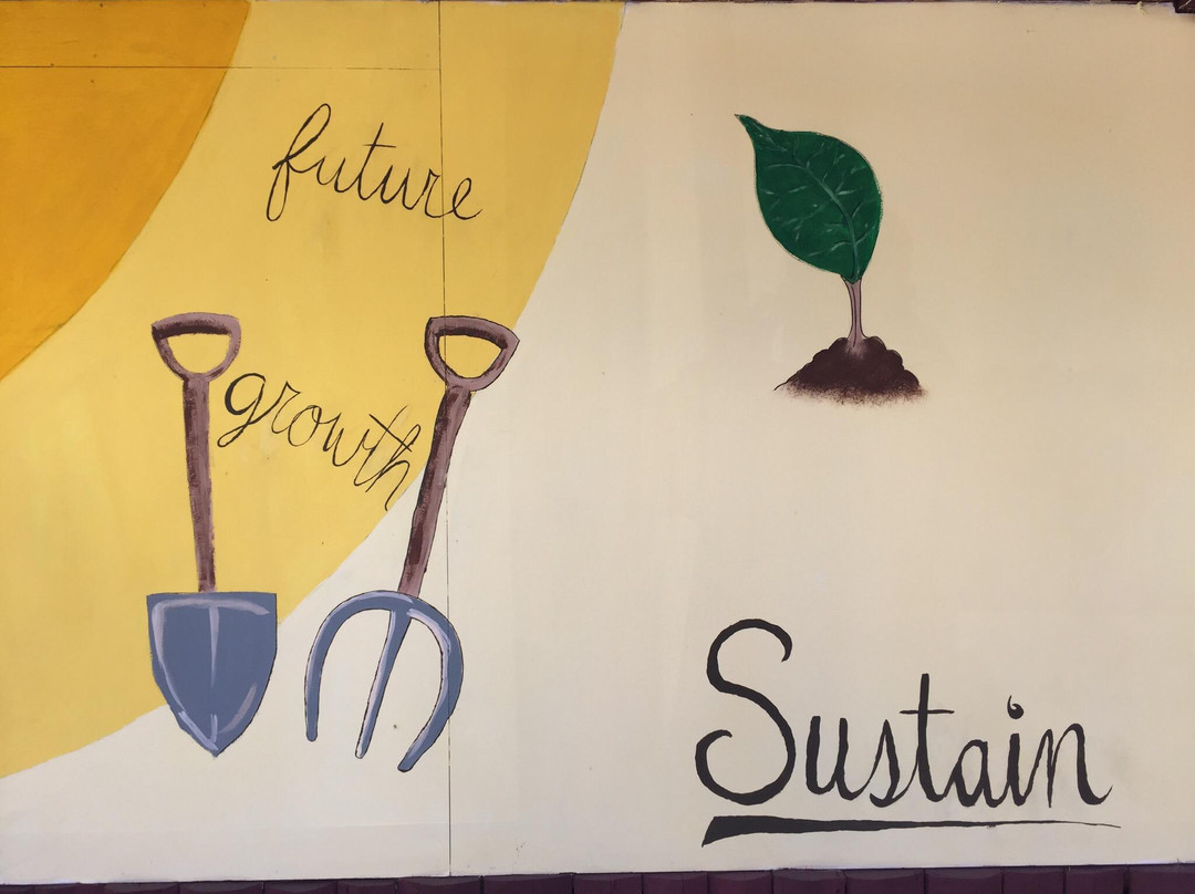 Life Monteverde-Los Tornos必去景点