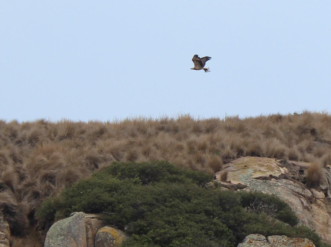 Kraken Tours-福斯特必去景点