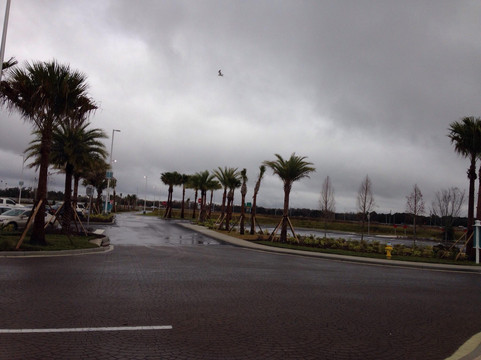 University Mall-坦帕必去景点