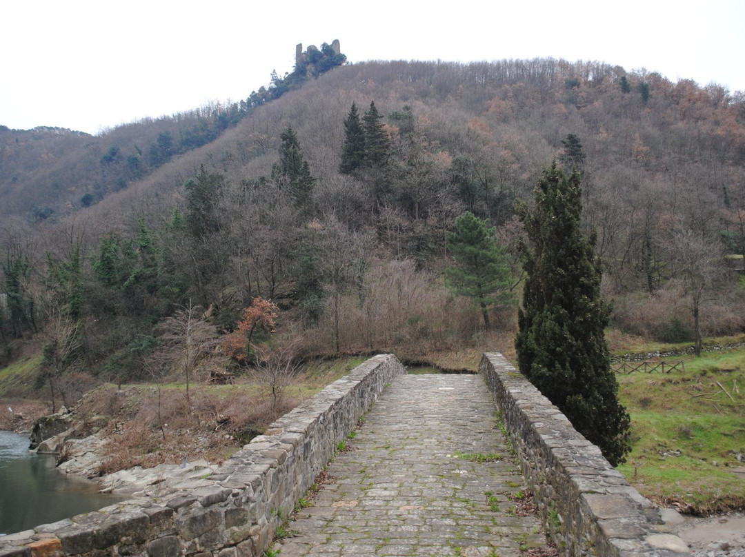 Ponte Di Cerbaia景点图片
