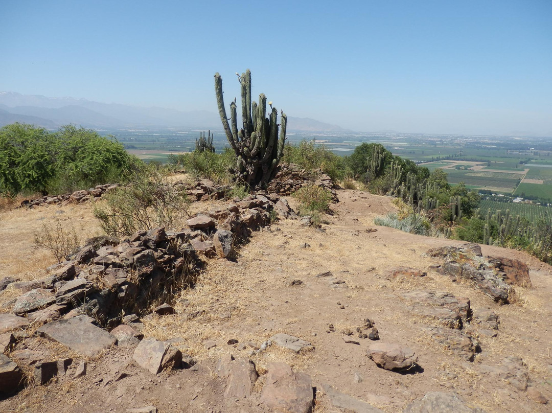 O'Higgins Tours - Day Tours-兰卡瓜必去景点
