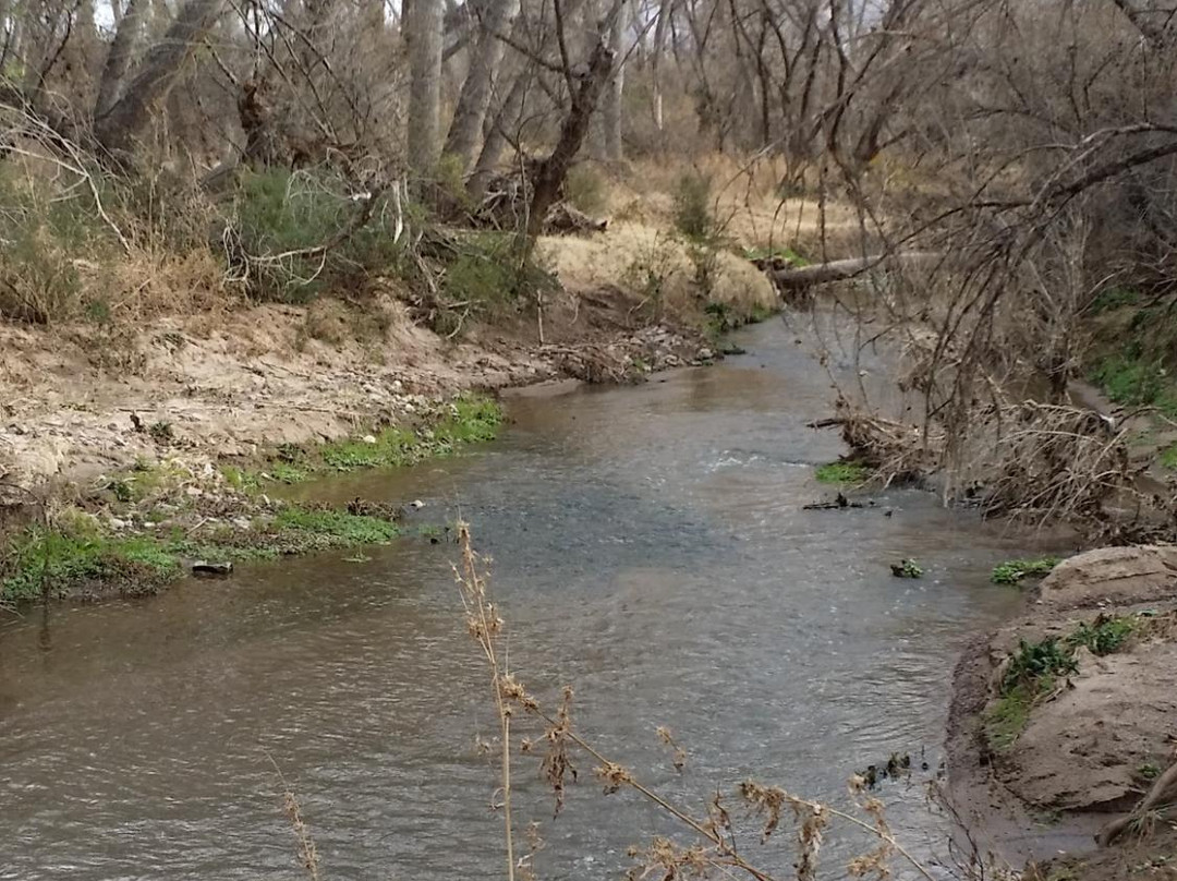 Anza Trail-Tubac必去景点