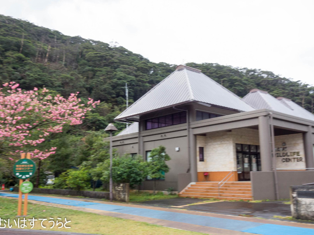 Amami Wildlife Center景点图片