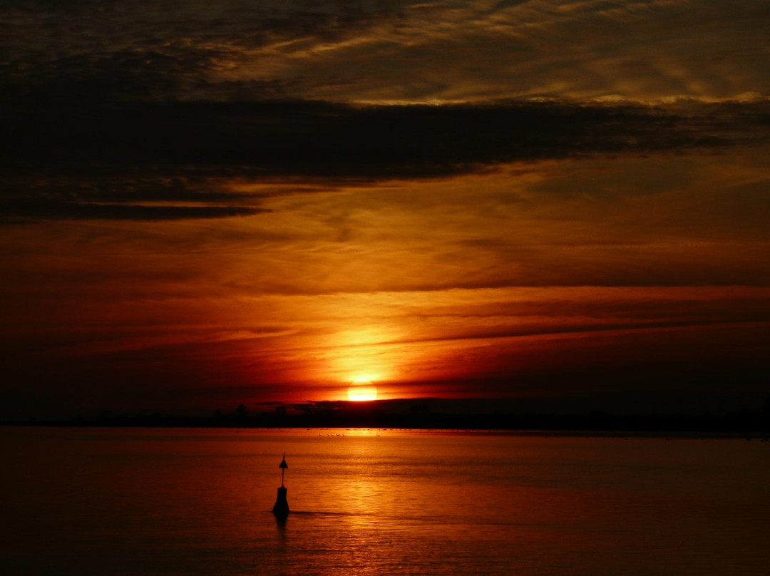 Pension Schwalbenhof主图