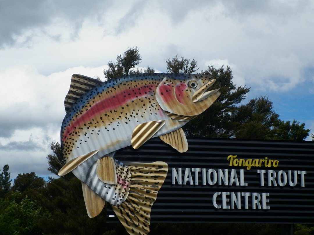 Tongariro National Trout Centre景点图片