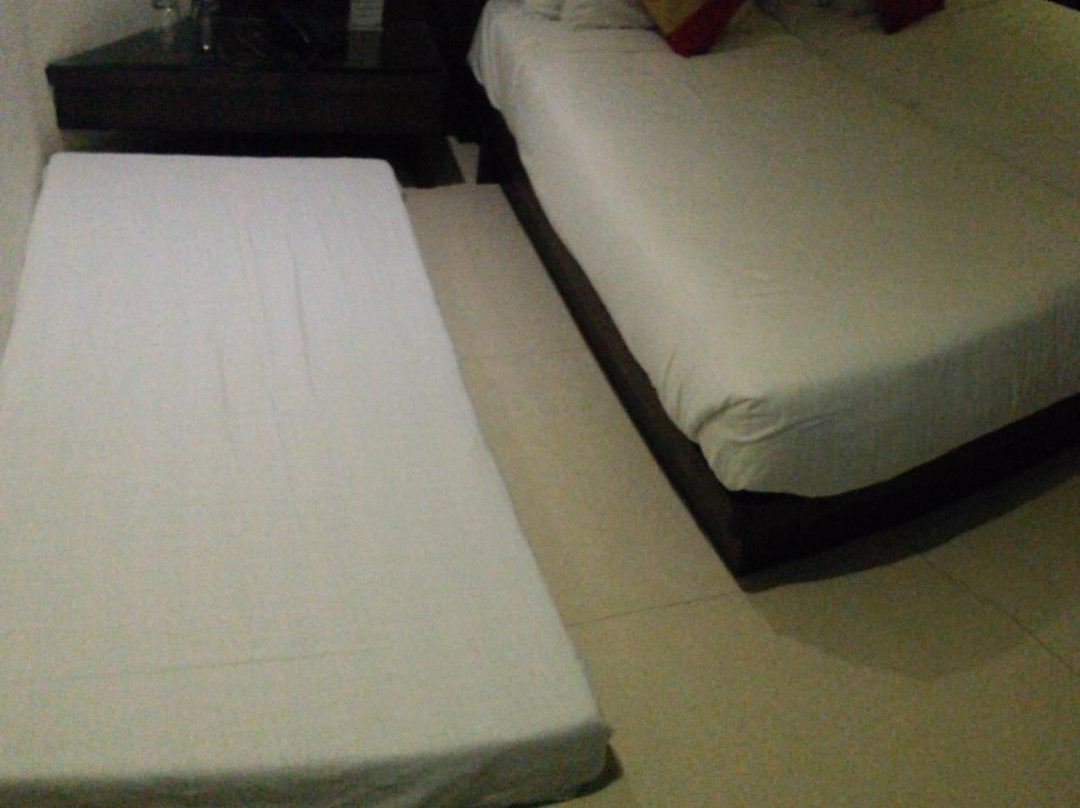 Hotel Abha Regency主图