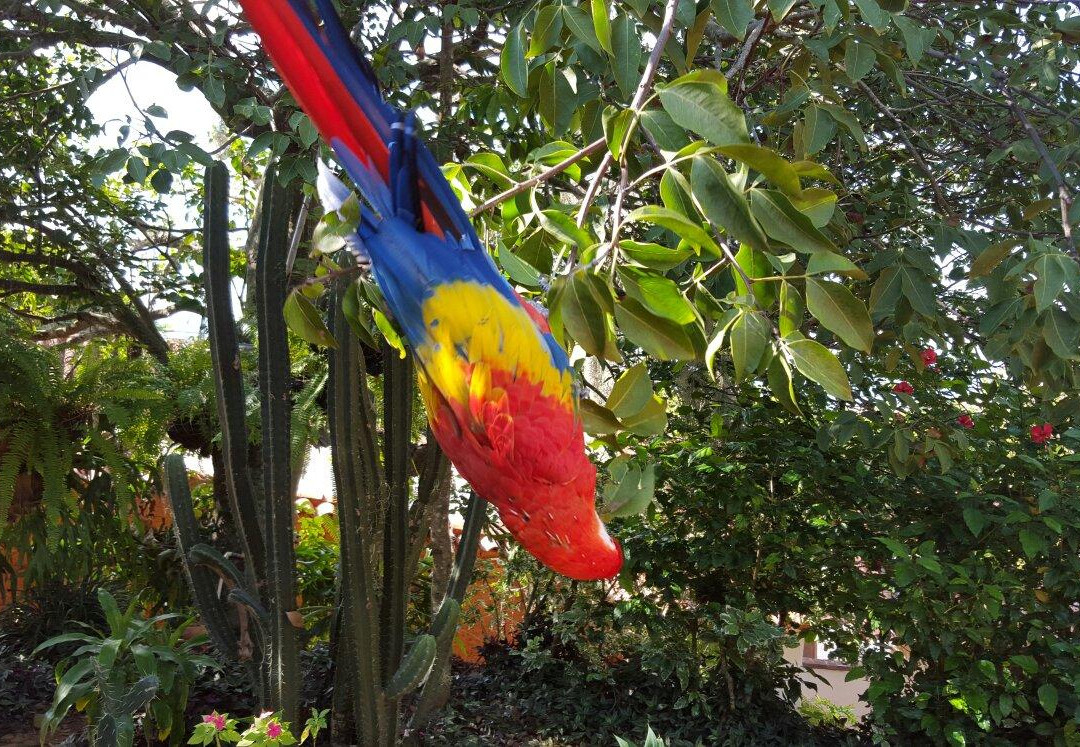 Casa de Huespedes El Cogollo B&B主图