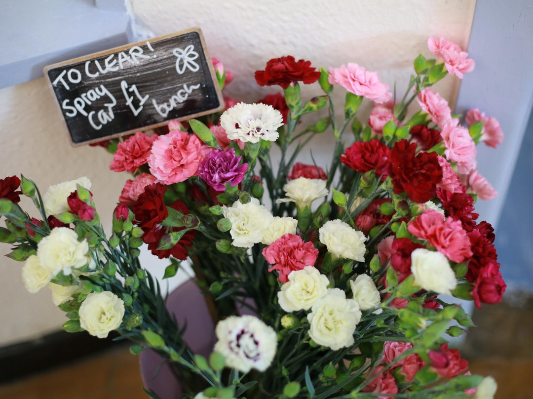 The Old Foundry Chapel-Hayle必去景点