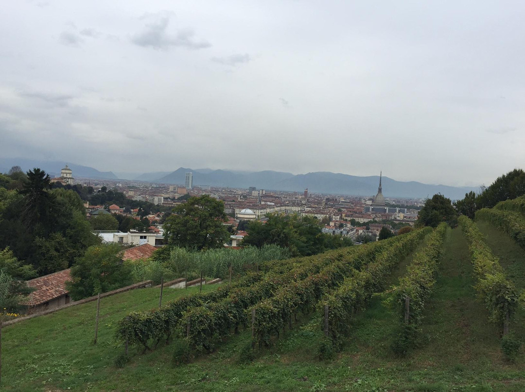 Gran Tour | Cycling and Events in Italy-都灵必去景点