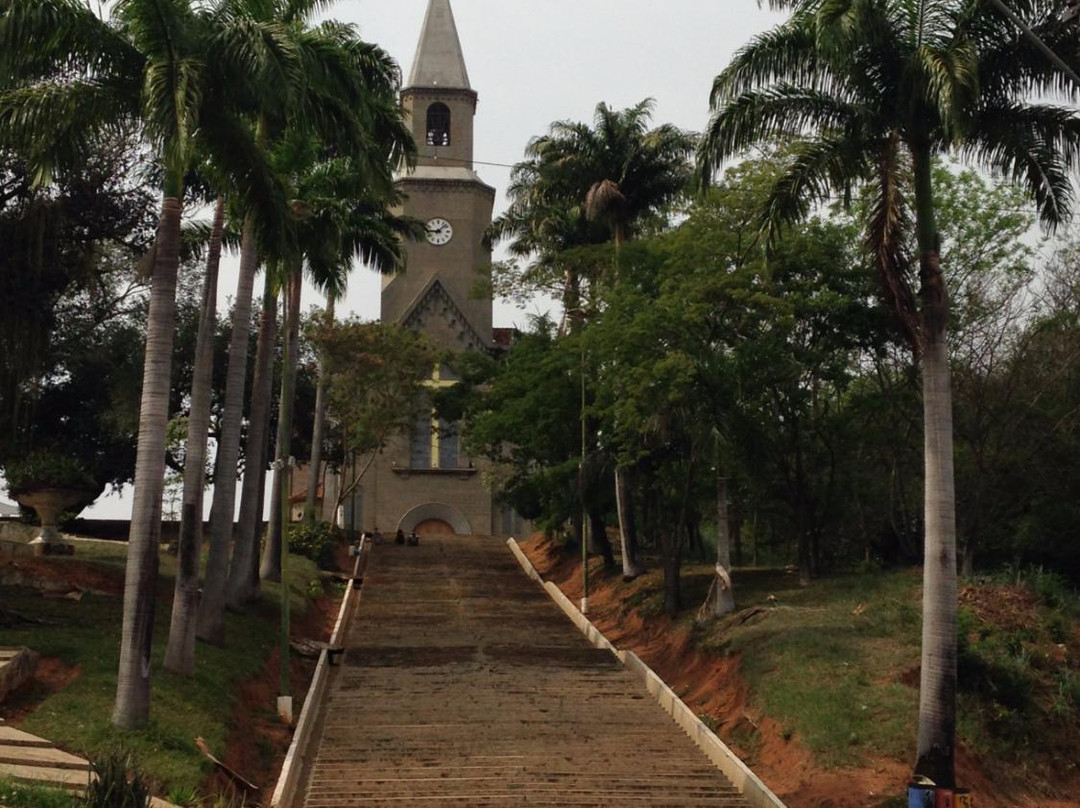 Catedral de Sao Sebastiao景点图片