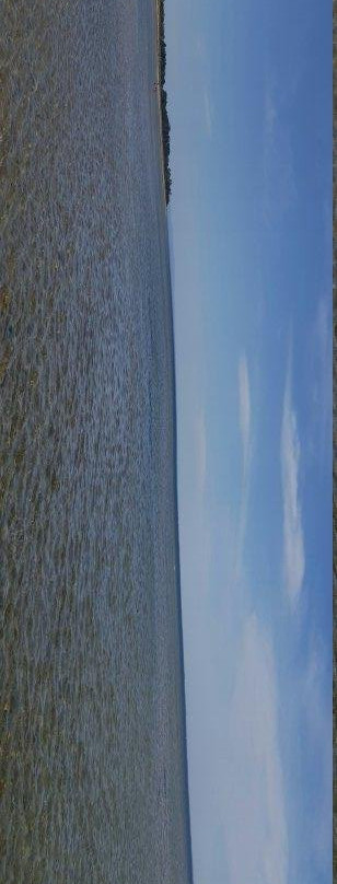 Point Cook Coastal Park景点图片