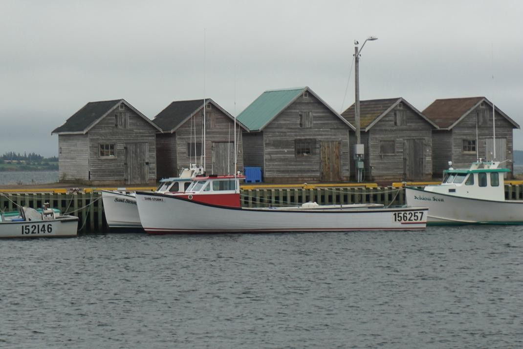 Confederation Trail-爱德华王子岛必去景点