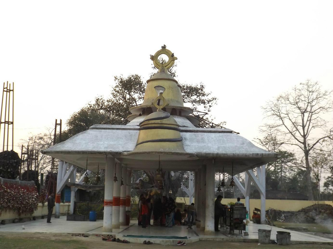 Tilinga Mandir Temple景点图片