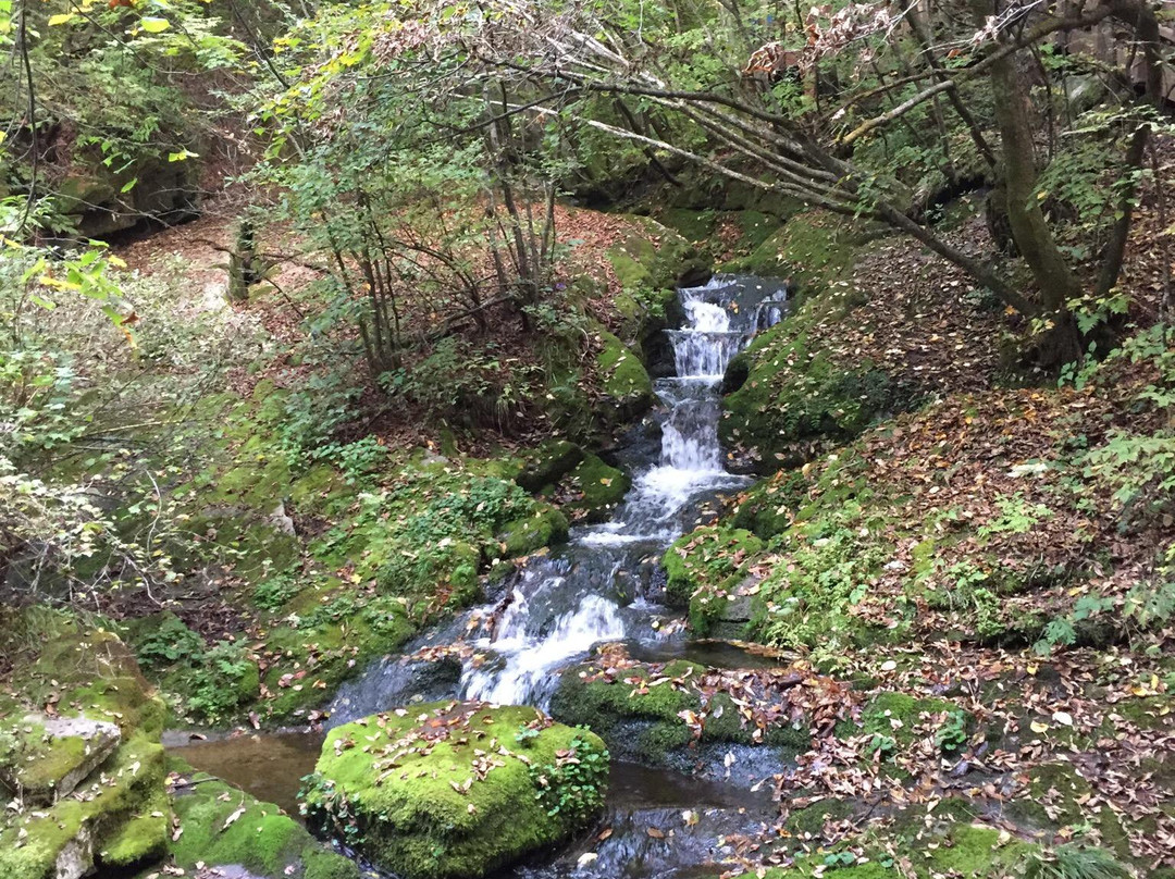 Geomnyongso Pond-太白市必去景点